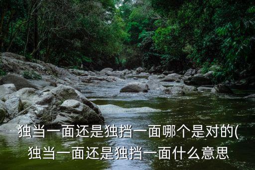  獨當一面還是獨擋一面哪個是對的( 獨當一面還是獨擋一面什么意思