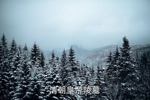 清陵,清東陵和清西陵十三陵沒有一座被盜