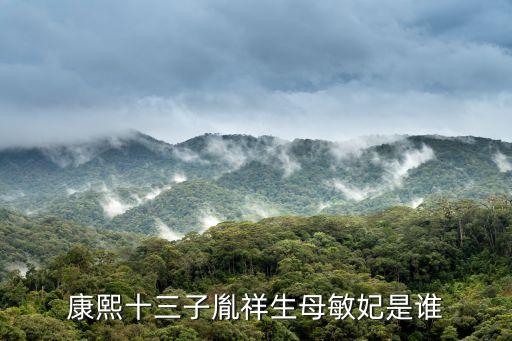 敬敏皇貴妃，康熙時期的敏妃的資料