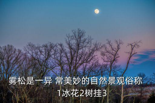 霧松是一異 常美妙的自然景觀俗稱     1冰花2樹掛3