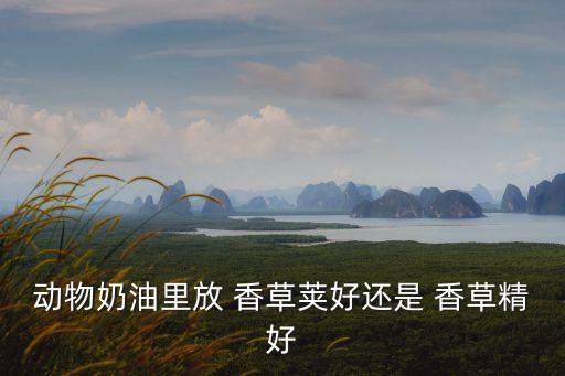 香草精,如何買到天然香草香精?