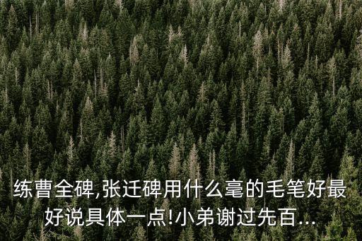 軟毫,新手如何使用軟毫和硬毛掌握翻倍?