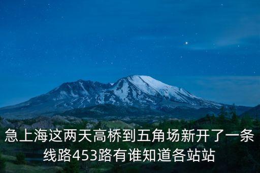 上海市高橋鎮規劃一路，上海浦東新區高橋鎮都有哪幾個渡口叫什么名字