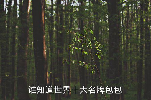 誰知道世界十大名牌包包