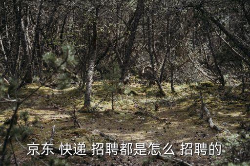 京東 快遞 招聘都是怎么 招聘的