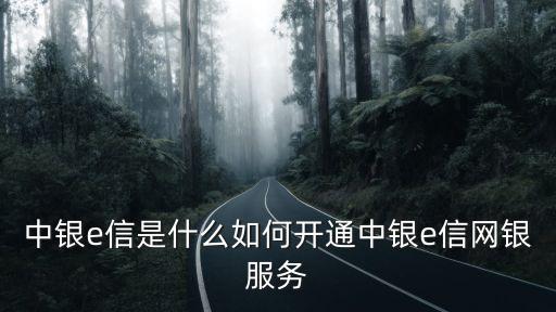 中銀e信是什么如何開通中銀e信網銀服務