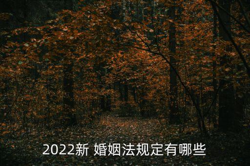 2022新 婚姻法規定有哪些