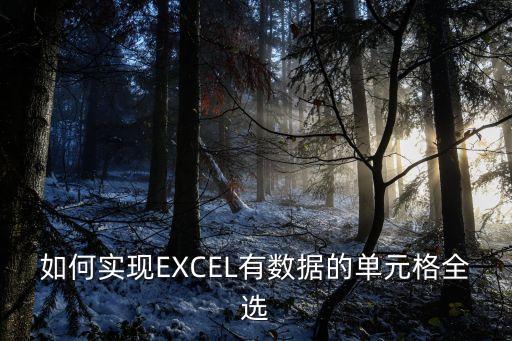 如何實現EXCEL有數據的單元格全選