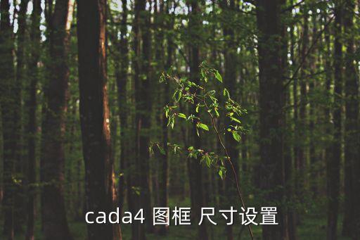 cada4 圖框 尺寸設置