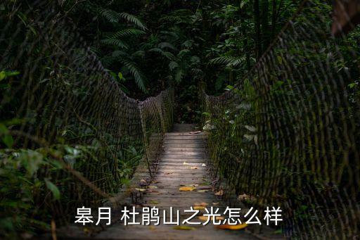 皋月 杜鵑山之光怎么樣