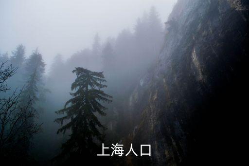 上海人口