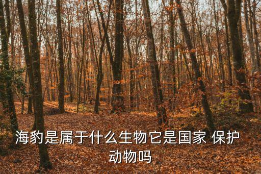 海豹是屬于什么生物它是國家 保護 動物嗎