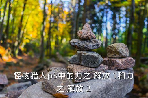 怪物獵人p3中的力之 解放 1和力之 解放 2