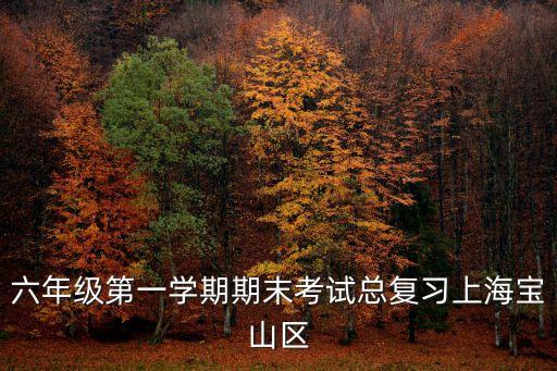 上海市六年級期末試卷，六年級第一學期期末考試總復習上海寶山區