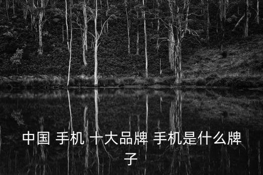 國產十大排名手機