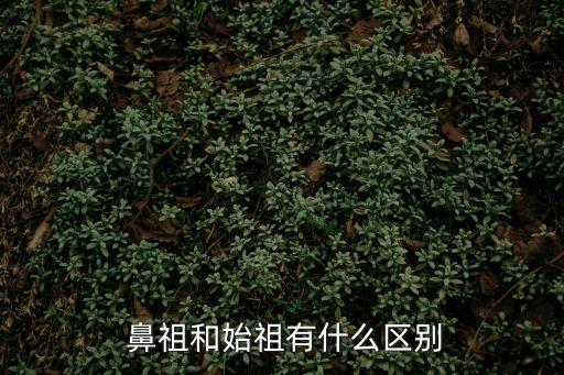 鼻祖,第二集:先驅與先驅的故事