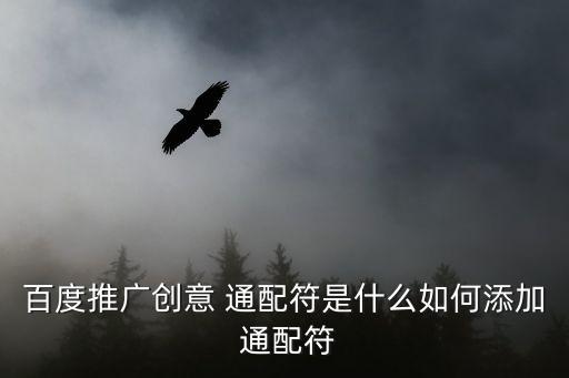 百度推廣創意 通配符是什么如何添加 通配符