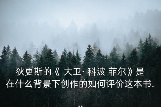 大衛(wèi)科波菲爾,從孤兒到民主作家大衛(wèi)科波菲爾的成長歷程