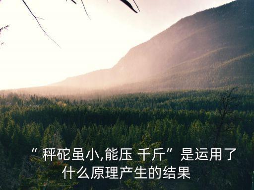 秤砣雖小壓千斤,秤砣雖小卻經得起千斤的科學道理