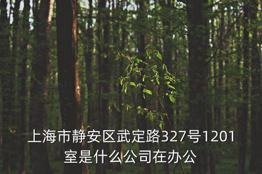 上海市武定路327號301室，上海武定路327號1201室是什么公司