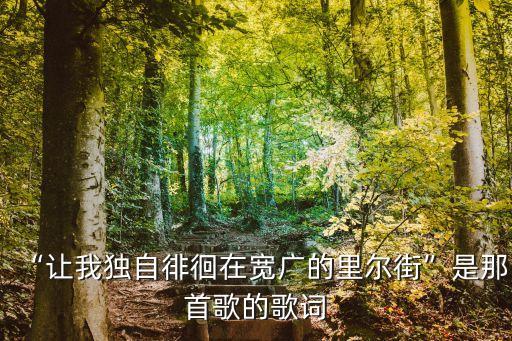 “讓我獨自徘徊在寬廣的里爾街”是那首歌的歌詞