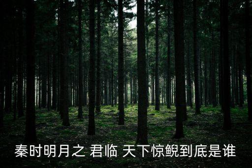 秦時明月之 君臨 天下驚鯢到底是誰