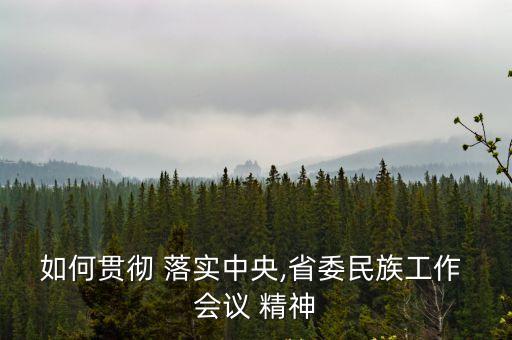 如何貫徹 落實中央,省委民族工作 會議 精神