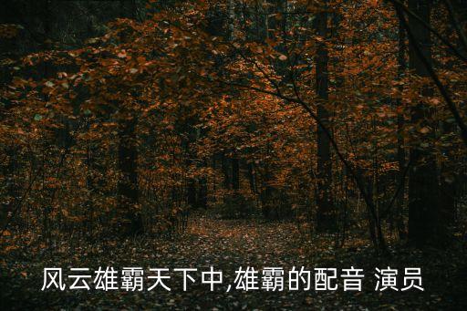 風云雄霸天下中,雄霸的配音 演員