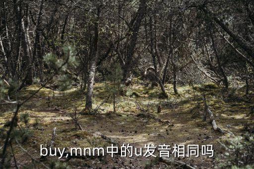 buyu,第二集:武俠世界里的武術