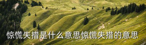 驚惶失措的意思,第二集:虛懷若谷的武漢警察驚慌失措被捕