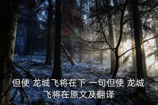 但使龍城飛將在下一句,不教呼瑪過陰山!龍城fei必在
