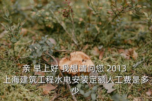親 早上好 我想請問您 2013 上海建筑工程水電安裝定額人工費是多少