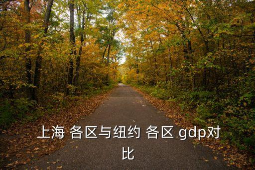 上海各區(qū)gdp,上?；蛟诓痪脤沓郊~約