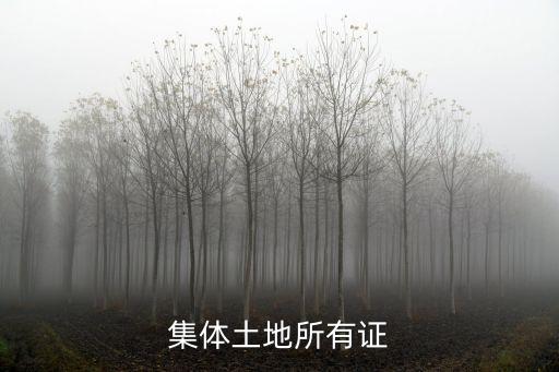 集體土地所有權證，村集體土地有哪些權屬證明