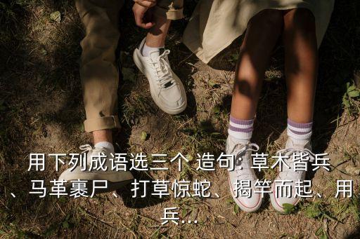 用下列成語(yǔ)選三個(gè) 造句: 草木皆兵、馬革裹尸、打草驚蛇、揭竿而起、用兵...