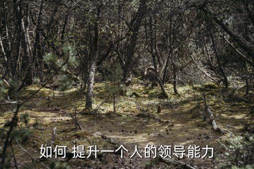 提升領導力,如何提升領導力?