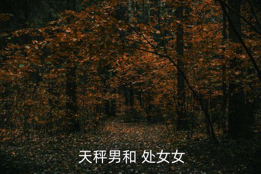  天秤男和 處女女