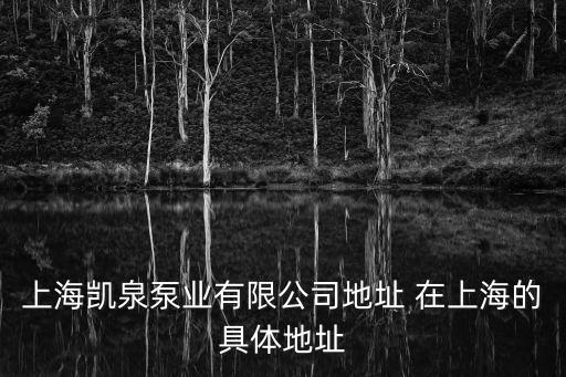 上海凱泉泵業(yè)有限公司地址 在上海的具體地址
