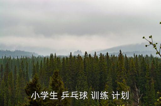 乒乓球訓練計劃,我國乒乓球選手今天開始訓練