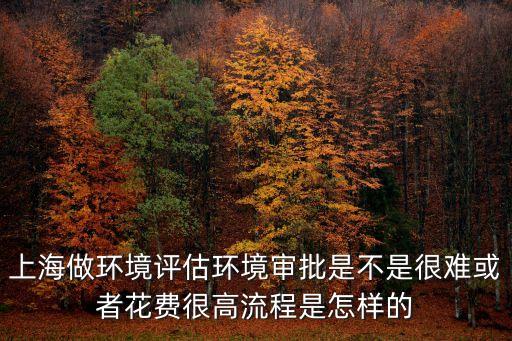 上海市環(huán)評審批流程，上海建設項目審批流程是什么