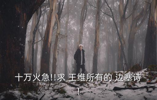 十萬火急!!求 王維所有的 邊塞詩!