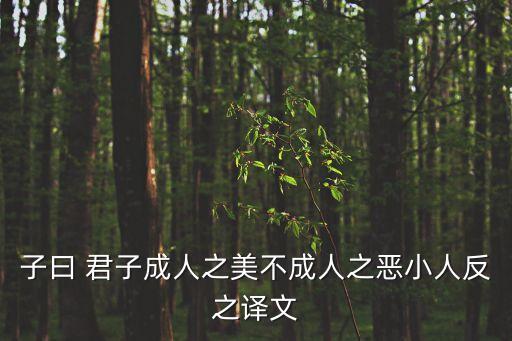 子曰 君子成人之美不成人之惡小人反之譯文