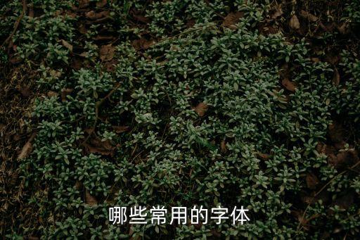 哪些常用的字體