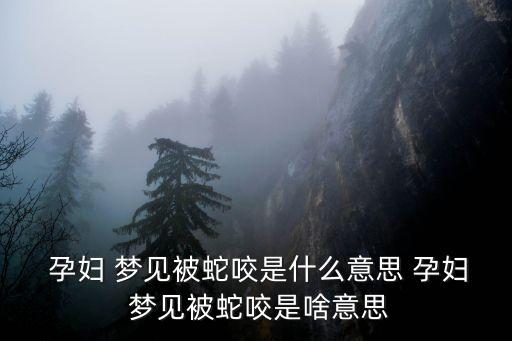  孕婦 夢見被蛇咬是什么意思 孕婦 夢見被蛇咬是啥意思