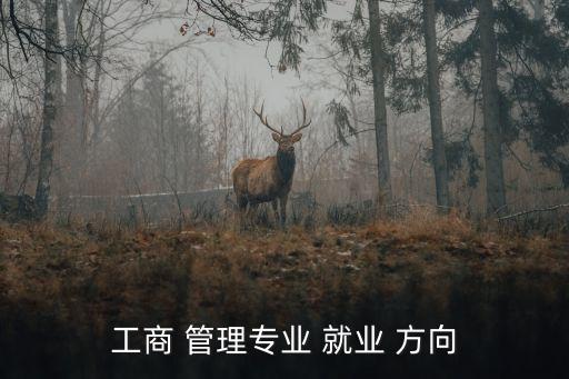 工商企業(yè)管理就業(yè)方向,工商管理專業(yè):可從事市場(chǎng)營(yíng)銷管理工作