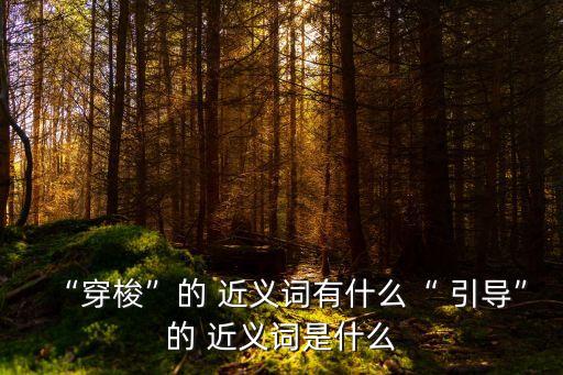 “穿梭”的 近義詞有什么“ 引導”的 近義詞是什么