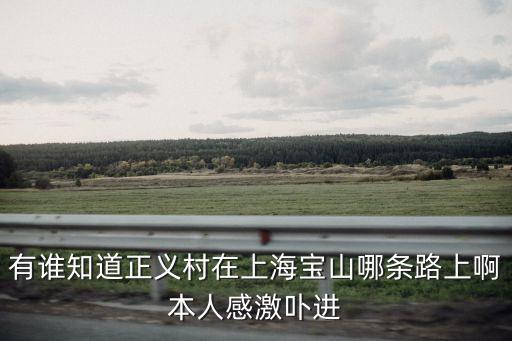 上海市寶山區正義村，有誰知道正義村在上海寶山哪條路上啊本人感激卟進