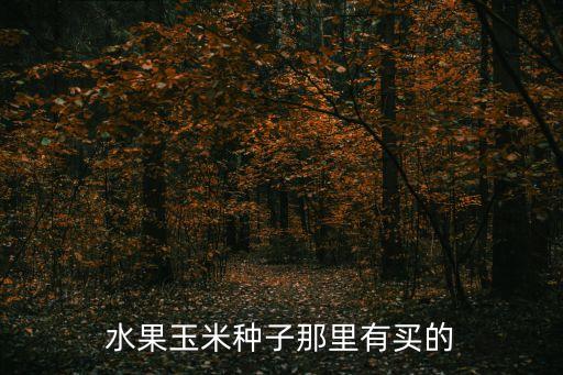 水果玉米種子，水果玉米種子那里有買(mǎi)的