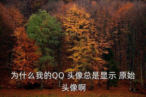 qq原始頭像,如何上傳更改頭像?