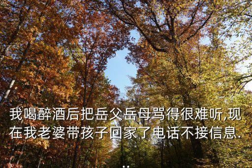 我喝醉酒后把岳父岳母罵得很難聽,現在我老婆帶孩子回家了電話不接信息...